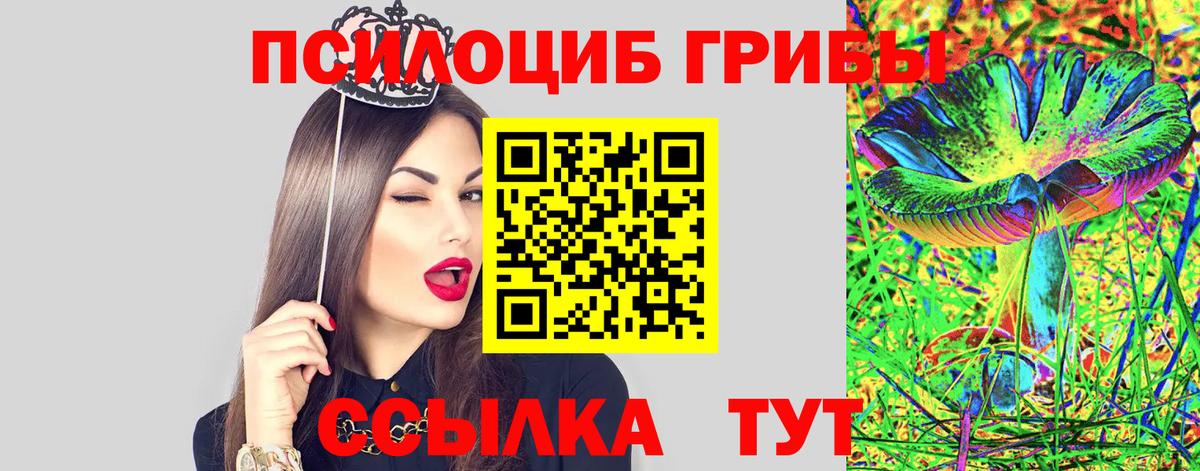 купить наркоту  Вход с VPN  Междуреченск  Псилоцибиновые грибы Psilocybine cubensis 