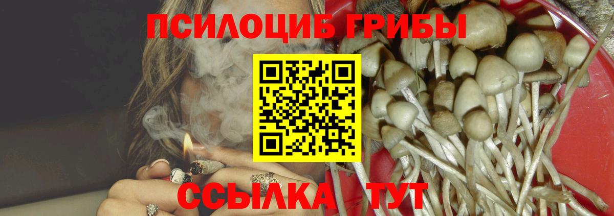 Галлюциногенные грибы ЛСД Междуреченск